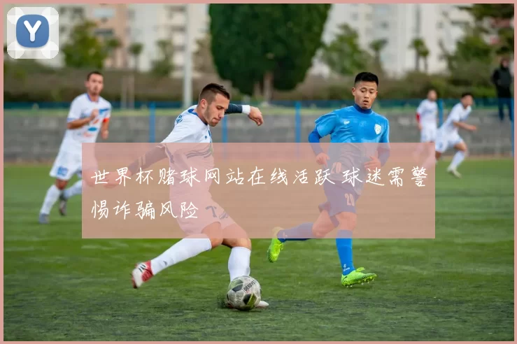 世界杯赌球网站在线活跃 球迷需警惕诈骗风险