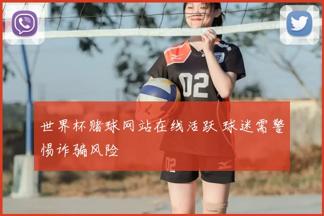 世界杯赌球网站在线活跃 球迷需警惕诈骗风险
