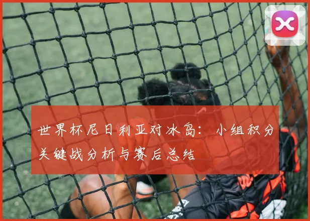 世界杯尼日利亚对冰岛:小组积分关键战分析与赛后总结
