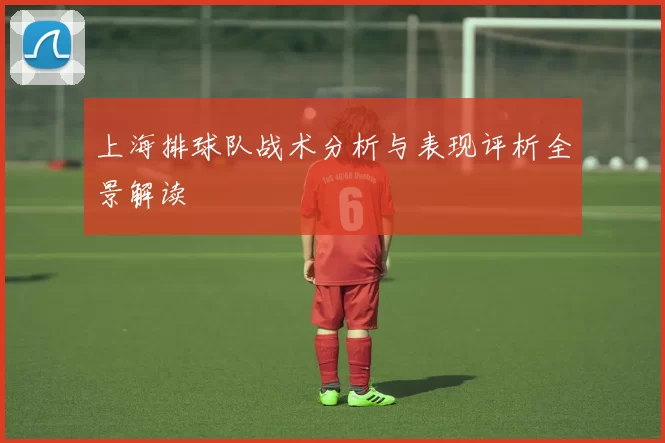 上海排球队战术分析与表现评析全景解读