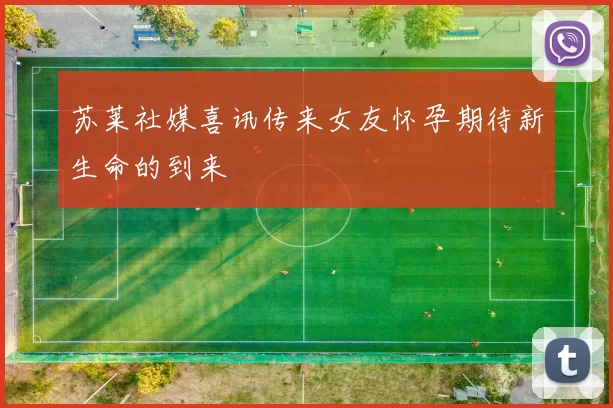 苏莱社媒喜讯传来女友怀孕期待新生命的到来