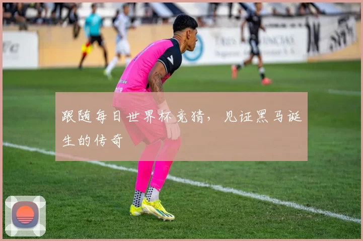 跟随每日世界杯竞猜,见证黑马诞生的传奇